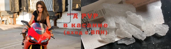 шишки Богородицк