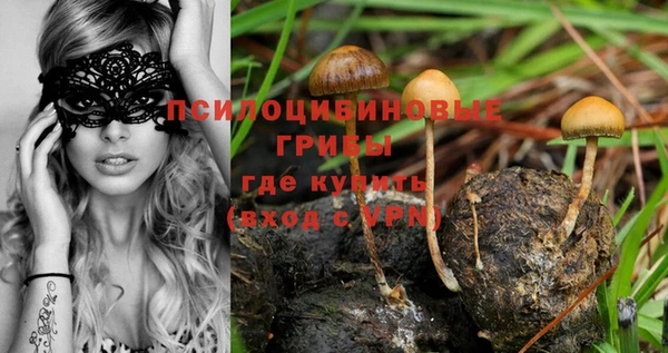каннабис Богданович