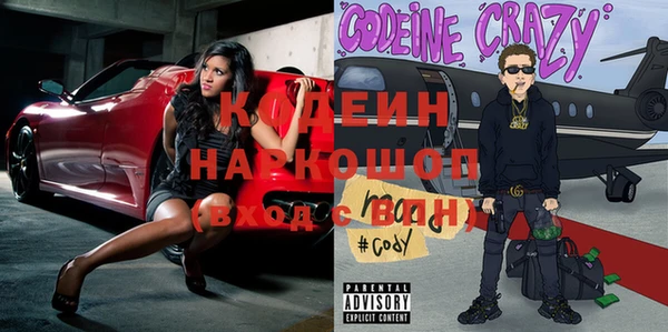 шишки Богородицк