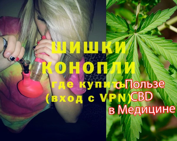 шишки Богородицк