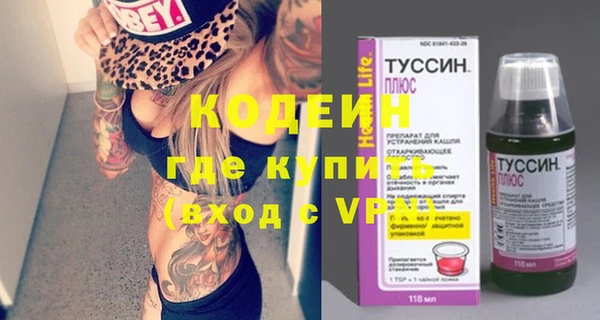 шишки Богородицк