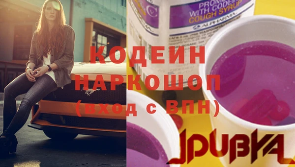 шишки Богородицк