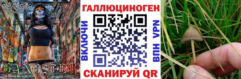 hydra зеркало  Можайск  Галлюциногенные грибы прущие грибы 